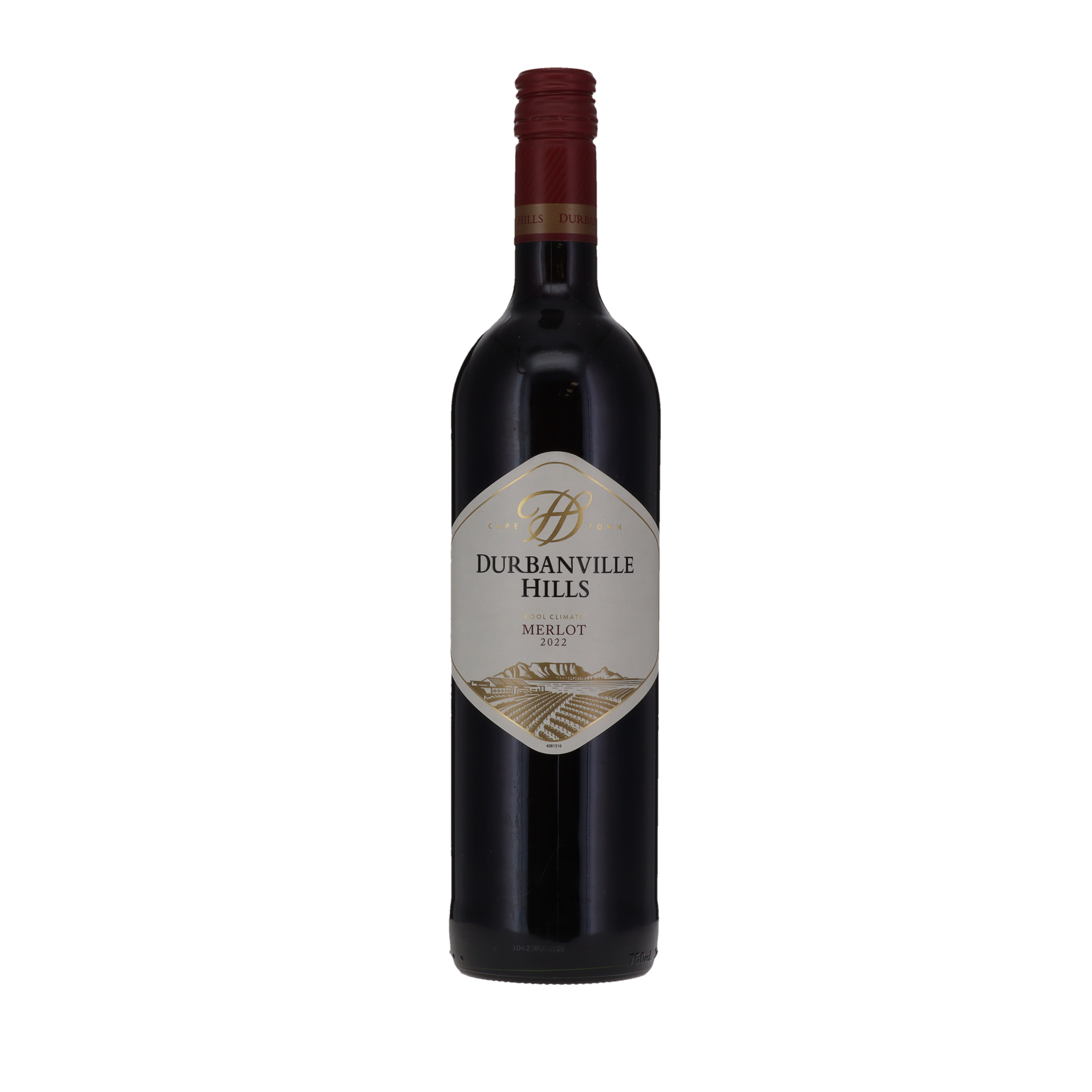 DURBANVILLE HILLS MERLOT 75X6